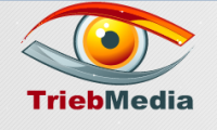 Infos zu Trieb-Media