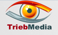 Dieses Bild zeigt das Logo des Unternehmens Trieb-Media